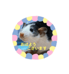 ファンシーラット4兄弟♡（個別スタンプ：1）