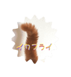 ⛄️winterちぃちゃん⛄️（個別スタンプ：4）