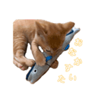 世界一可愛いねこ。（個別スタンプ：4）