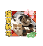 MM ぶらざーずのお正月 2020（個別スタンプ：2）