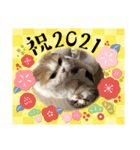 MM ぶらざーずのお正月 2020（個別スタンプ：3）