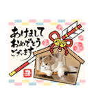 MM ぶらざーずのお正月 2020（個別スタンプ：4）