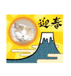 MM ぶらざーずのお正月 2020（個別スタンプ：6）