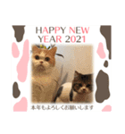 MM ぶらざーずのお正月 2020（個別スタンプ：7）