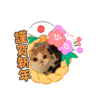 MM ぶらざーずのお正月 2020（個別スタンプ：8）