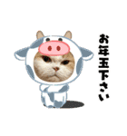MM ぶらざーずのお正月 2020（個別スタンプ：14）