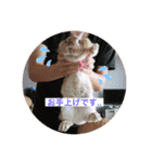 ここちゃんの冒険2（個別スタンプ：1）