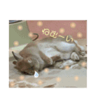 ここちゃんの冒険2（個別スタンプ：2）