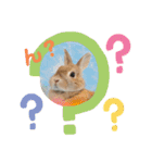 ここちゃんの冒険2（個別スタンプ：3）