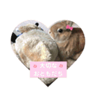 ここちゃんの冒険2（個別スタンプ：4）