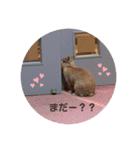 ここちゃんの冒険2（個別スタンプ：5）
