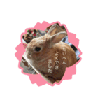 ここちゃんの冒険2（個別スタンプ：11）