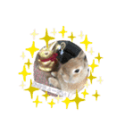 ここちゃんの冒険2（個別スタンプ：13）