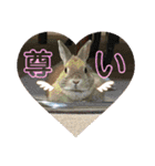 ここちゃんの冒険2（個別スタンプ：14）