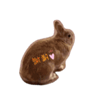 ここちゃんの冒険2（個別スタンプ：16）