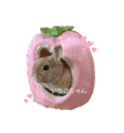 ここちゃんの冒険2（個別スタンプ：19）