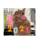 ここちゃんの冒険2（個別スタンプ：22）