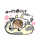 ここちゃんの冒険2（個別スタンプ：24）