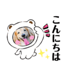 むう太 すたんぷ（個別スタンプ：1）