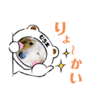 むう太 すたんぷ（個別スタンプ：2）