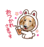 むう太 すたんぷ（個別スタンプ：4）