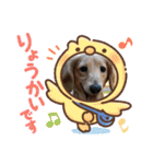 むう太 すたんぷ（個別スタンプ：9）