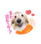 むう太 すたんぷ（個別スタンプ：10）