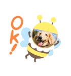 むう太 すたんぷ（個別スタンプ：19）