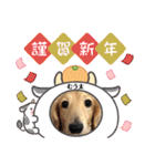 むう太 すたんぷ（個別スタンプ：22）