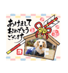 むう太 すたんぷ（個別スタンプ：23）