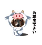 むう太 すたんぷ（個別スタンプ：29）