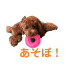 アンナスタンプ 1（個別スタンプ：8）