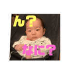 ふうちゃんスタタンプ①（個別スタンプ：6）
