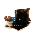 きじしろと黒猫3（個別スタンプ：2）