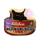 きじしろと黒猫3（個別スタンプ：7）