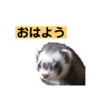 青島家のみお（個別スタンプ：2）