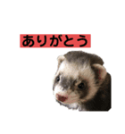 青島家のみお（個別スタンプ：7）