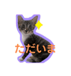 小夏とれもん（個別スタンプ：6）