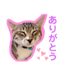 小夏とれもん（個別スタンプ：24）