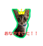 小夏とれもん（個別スタンプ：32）