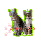 小夏とれもん（個別スタンプ：34）