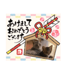 小夏とれもん（個別スタンプ：39）