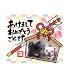 フレブル おはぎ＆きなこ（個別スタンプ：1）
