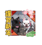 フレブル おはぎ＆きなこ（個別スタンプ：3）