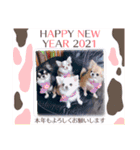 フレブル おはぎ＆きなこ（個別スタンプ：7）