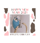 happy stamp☆2021（個別スタンプ：3）