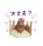 うさぎのおもち3（個別スタンプ：3）