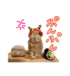 うさぎのおもち3（個別スタンプ：4）