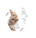うさぎのおもち3（個別スタンプ：7）
