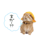 うさぎのおもち3（個別スタンプ：8）
